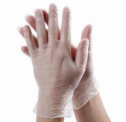 Clear Vinyl Glove P/F
